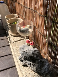 Suites Twenty-Two (D15), Apartment #212681251
